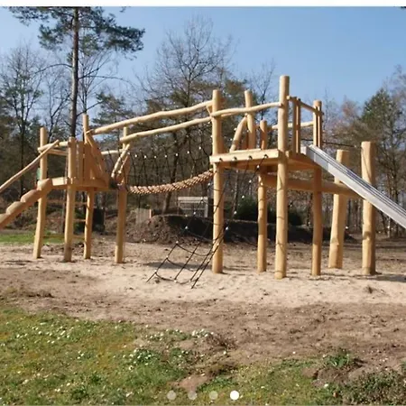 Toetje Op De Veluwe Hoenderloo
