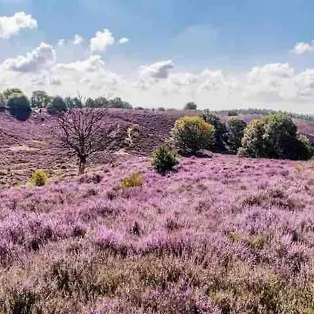 Toetje Op De Veluwe Chalet