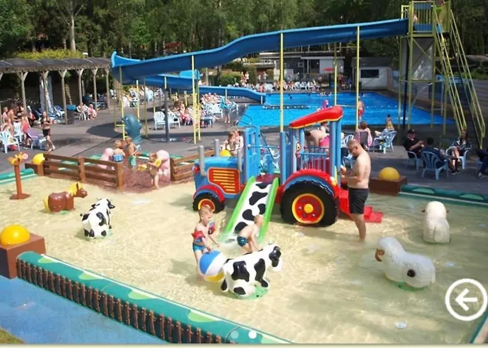 Toetje Op De Veluwe 木屋 霍德鲁