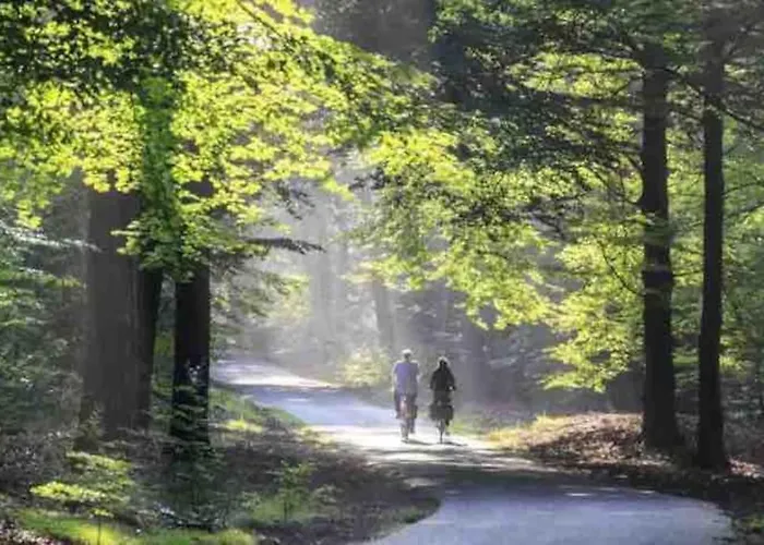 Toetje Op De Veluwe * 霍德鲁