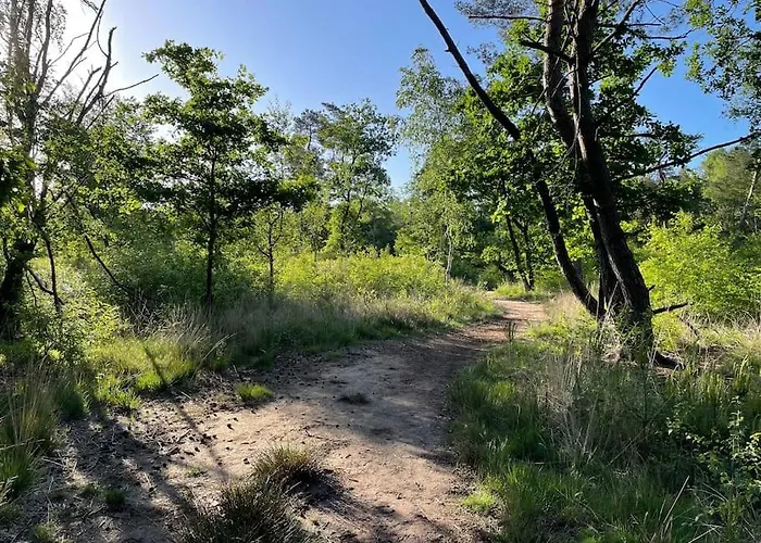 Toetje Op De Veluwe هونديرلو