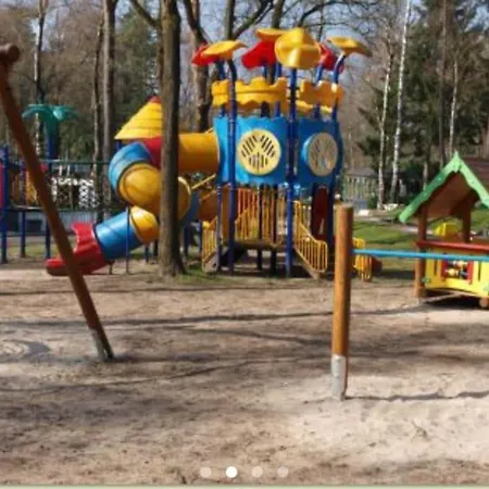 Toetje Op De Veluwe * Hoenderloo